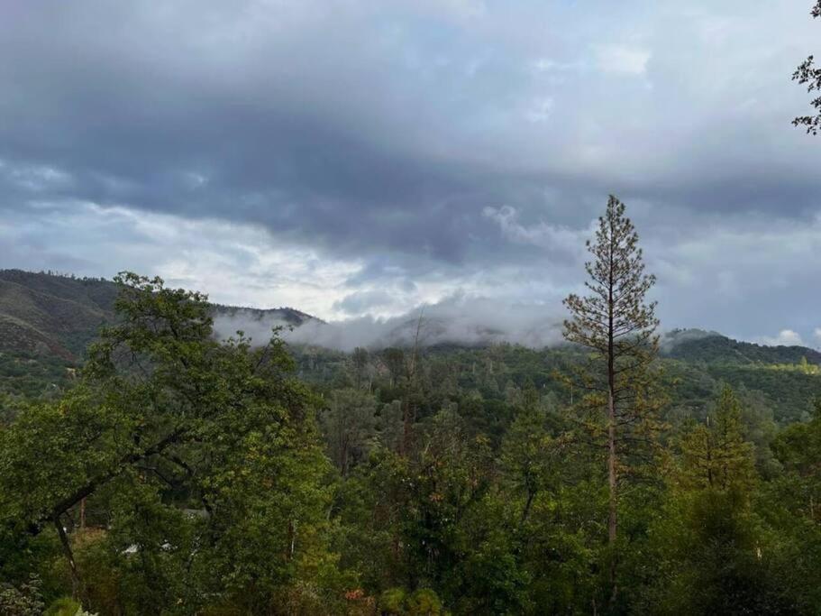 Yosemite'S Scenic Hideaway Villa Midpines Eksteriør billede